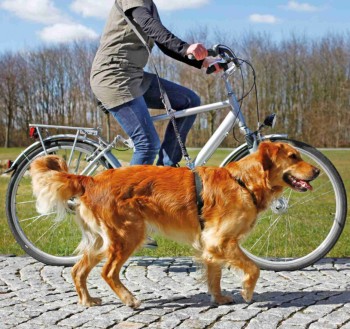 TRIXIE - Fahrrad- und Joggingleine