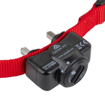 PetSafe - Basic (PIG19-16412) unsichtbarer Hundezaun