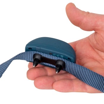 Petsafe - Anti-Bellhalsband PBC19-16001