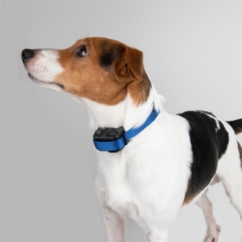 PetSafe - Anti-Bell Sprühhalsband deLuxe PBC19-11796 (RFA-442)