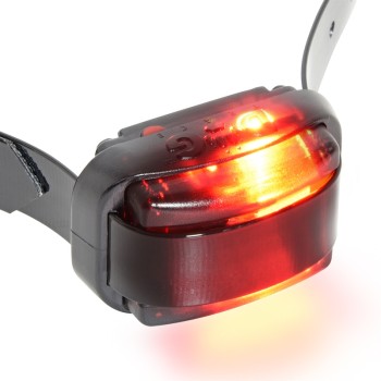 DogTrace - D-Control professional 2000 mini, Ferntrainer