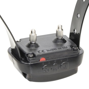 DogTrace - D-Control professional 2000 mini, Ferntrainer