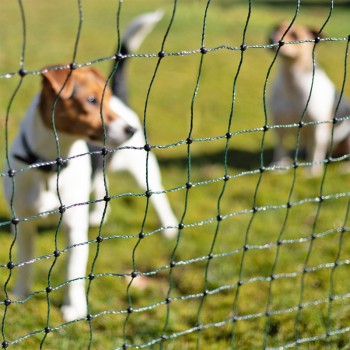 VOSS.PET - petNET+ Hundezaun, Welpenzaun