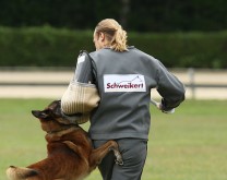 Schweikert - Schutzjacke Aero Dynamic, grau-blau