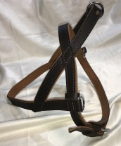 Klin - Zug-Geschirr Canadian