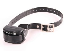 PAC - Medium Empfänger für Ferntrainer