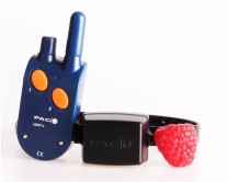 PAC - Mini Lithium Ferntrainer, Teletakt - 500m