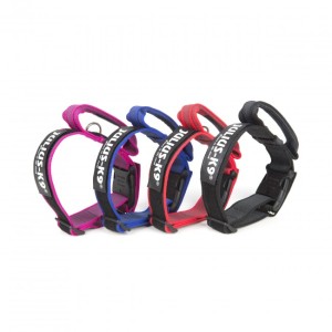 K9 - Color+Gray, Halsband mit Griff, 40mm