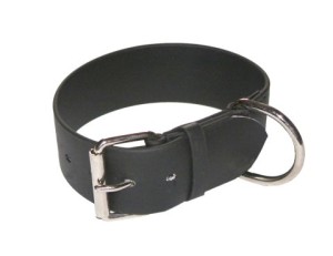 Schweikert - Biothane® Halsband, 50mm
