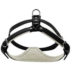 Gappay - Hetzgeschirr Kim