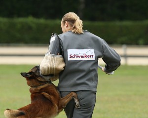 Schweikert - Schutzjacke Aero Dynamic, grau-blau