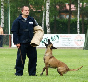 Schweikert - Schutzjacke "Aero" ungepolstert - blau