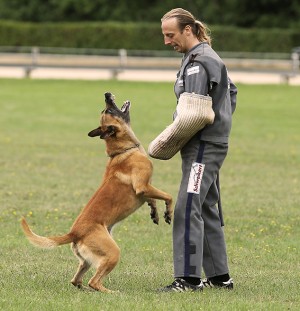 Schweikert - Schutzhose Aero Dynamic, grau-blau