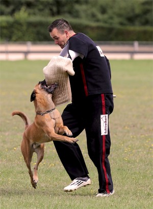 Schweikert - Schutzjacke Aero Dynamic, schwarz-rot