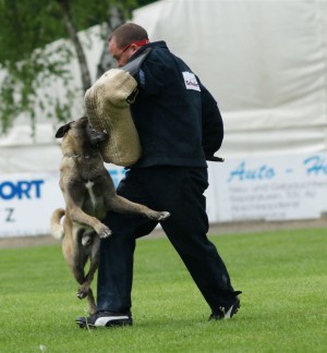 Schweikert - Schutzhose Aero teilgepolstert - blau