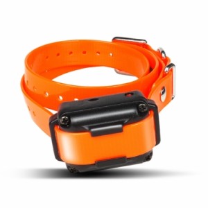 Dogtra - Zusatzemfänger, IQ Plus