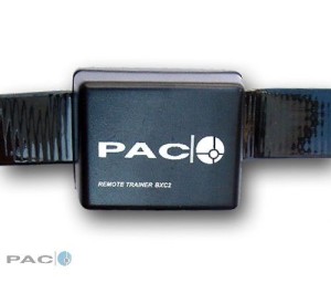 PAC - Attrappe für Ferntrainer Mini