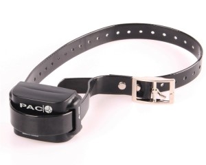 PAC - Medium Empfänger für Ferntrainer