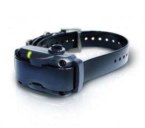 Dogtra - Yapper Stopper YS 600, Antibellgerät