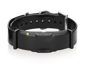 Dogtra - Zusatzempfänger, ARC 800