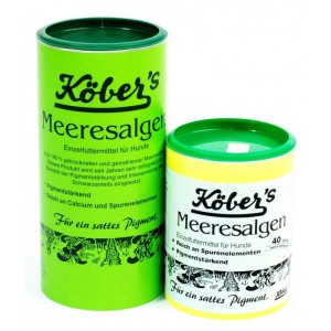 Köbers - Meeresalgen