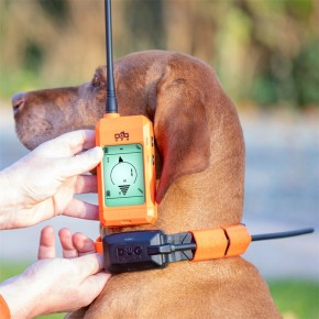 DogTrace - GPS X20, Hundeortungsgerät für 2 Hunde
