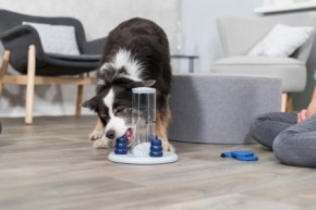 TRIXIE - Dog Activity, Gambling Tower Strategiespiel